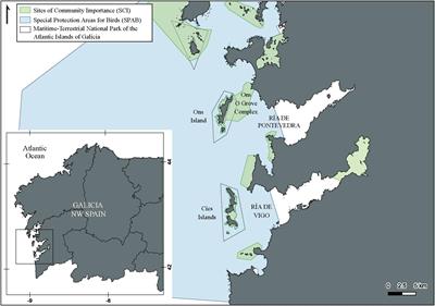 A State-of-the-Art Review of Marine Ecosystem Services in the Rías Baixas Natura 2000 Network (Galicia, NW Spain)